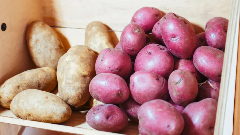 Radici dimenticate: le patate antiche d'Italia tornano in tavola